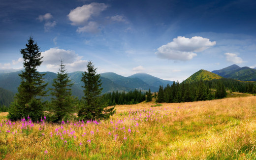 715520 (a): :2560x1600